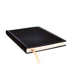 Libreta Paperblanks Flexi Midi raya Classic negro