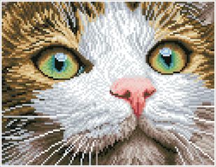 Diamond Dotz Gatito Ojos verdes