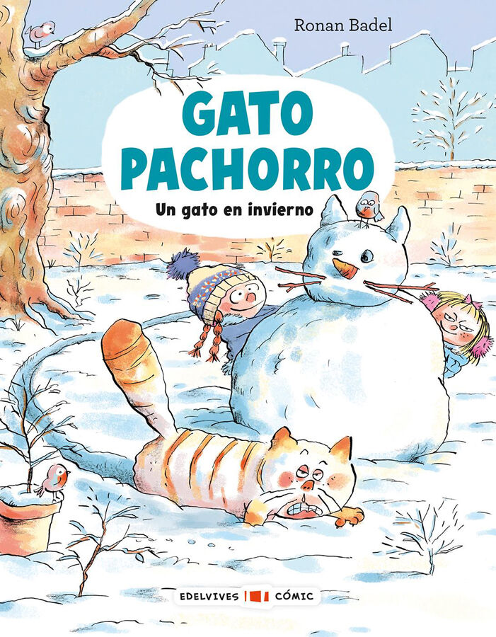 Gato Pachorro : Un gato en invierno