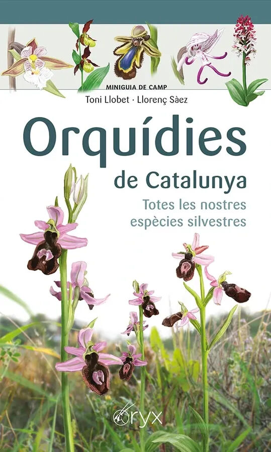 Orqu&iacute;dies de Catalunya