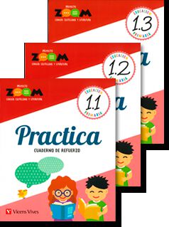 Practica Lengua 1 (Zoom)