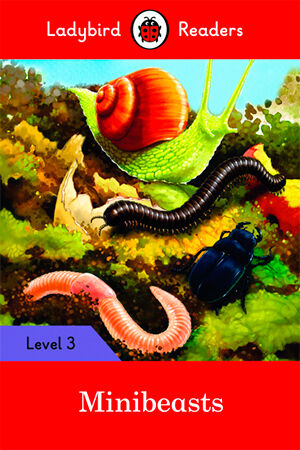 Minibeasts