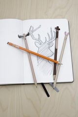 Set de l&aacute;pices Kikkerland Animales del bosque 4u