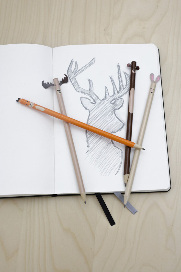 Set de l&aacute;pices Kikkerland Animales del bosque 4u