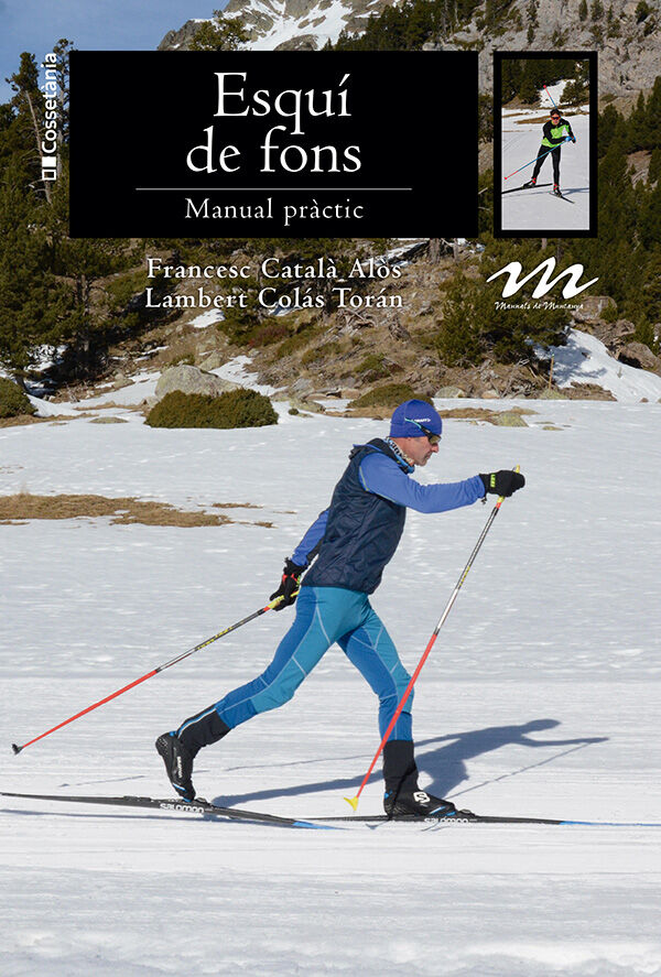 Esqu&iacute; de fons