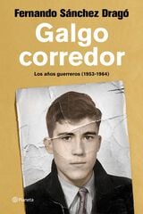 Galgo corredor Galgo corredor