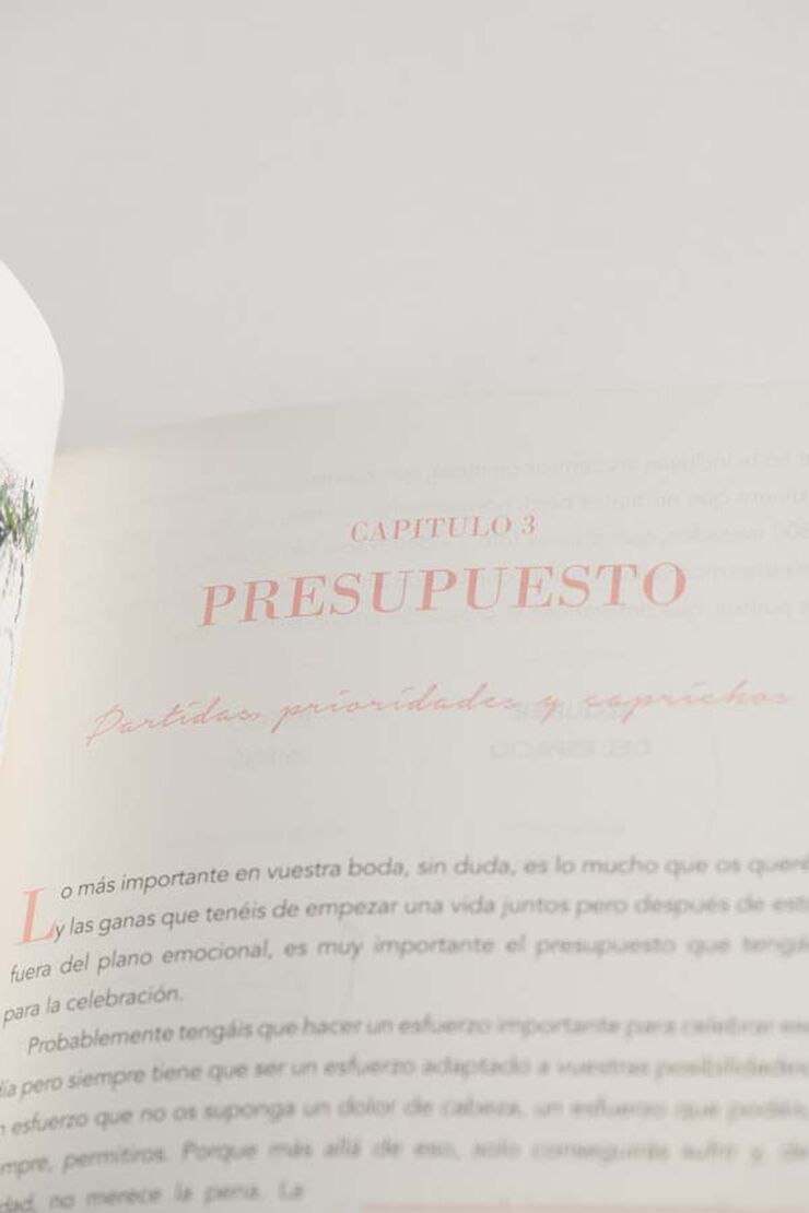 Diario de la Novia Petite Mafalda