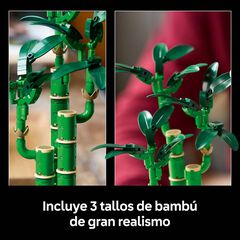 LEGO® Botanicals Bambú de la Suerte 10344