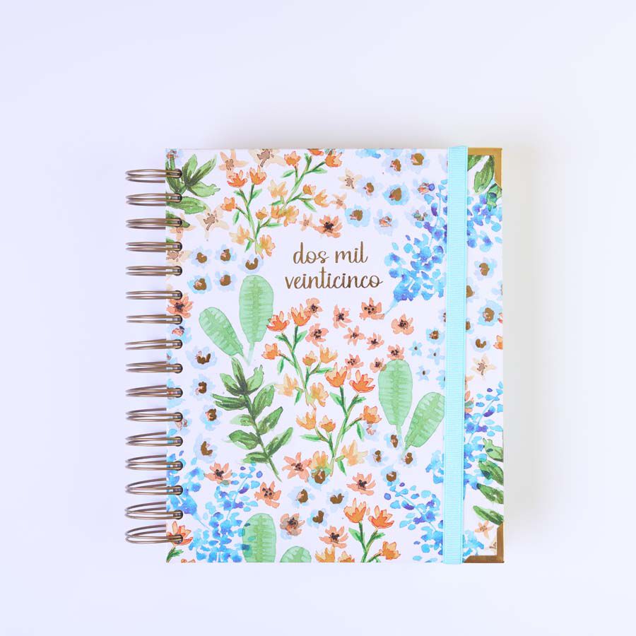 Agenda Takenote 17x21 d&iacute;a/p&aacute;g mult 2025 Emma