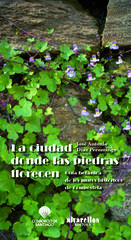 Ciudad donde las piedras florecen: guía