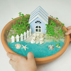 Kit para crear un mini jardín con mar
