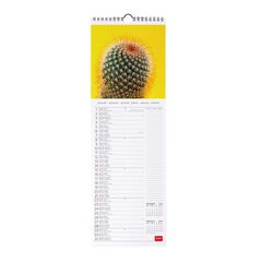 Calendario pared Legami 16X49 2024 Succulents