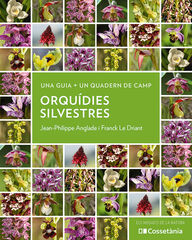 Orquídies silvestres Orquídies silvestres