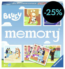Memory Bluey