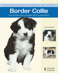 Border collie