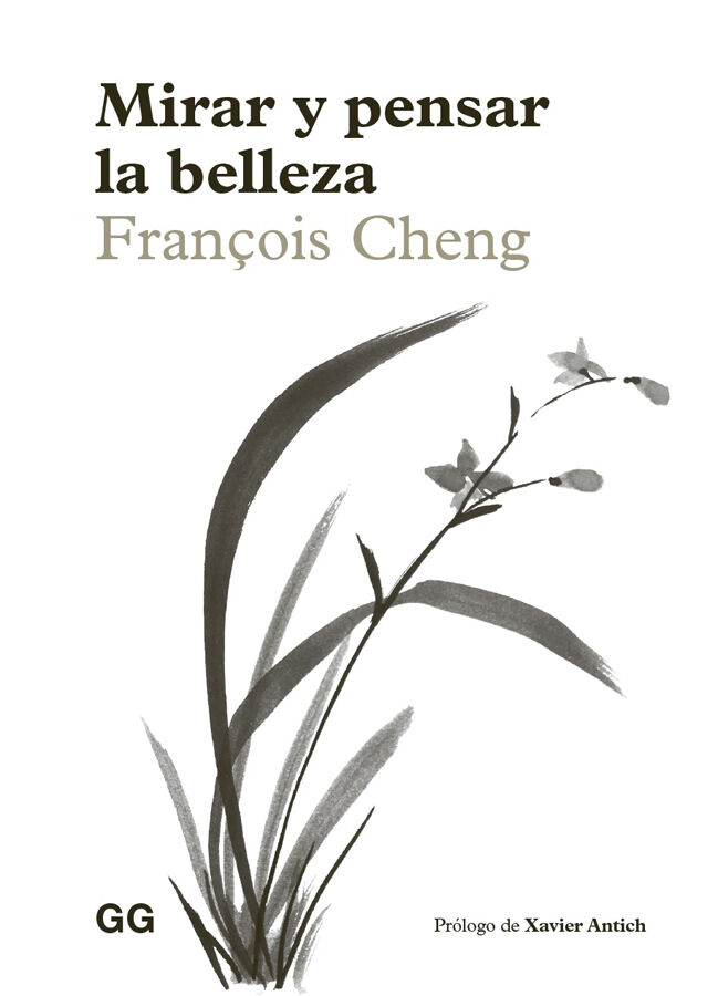 Mirar y pensar la belleza