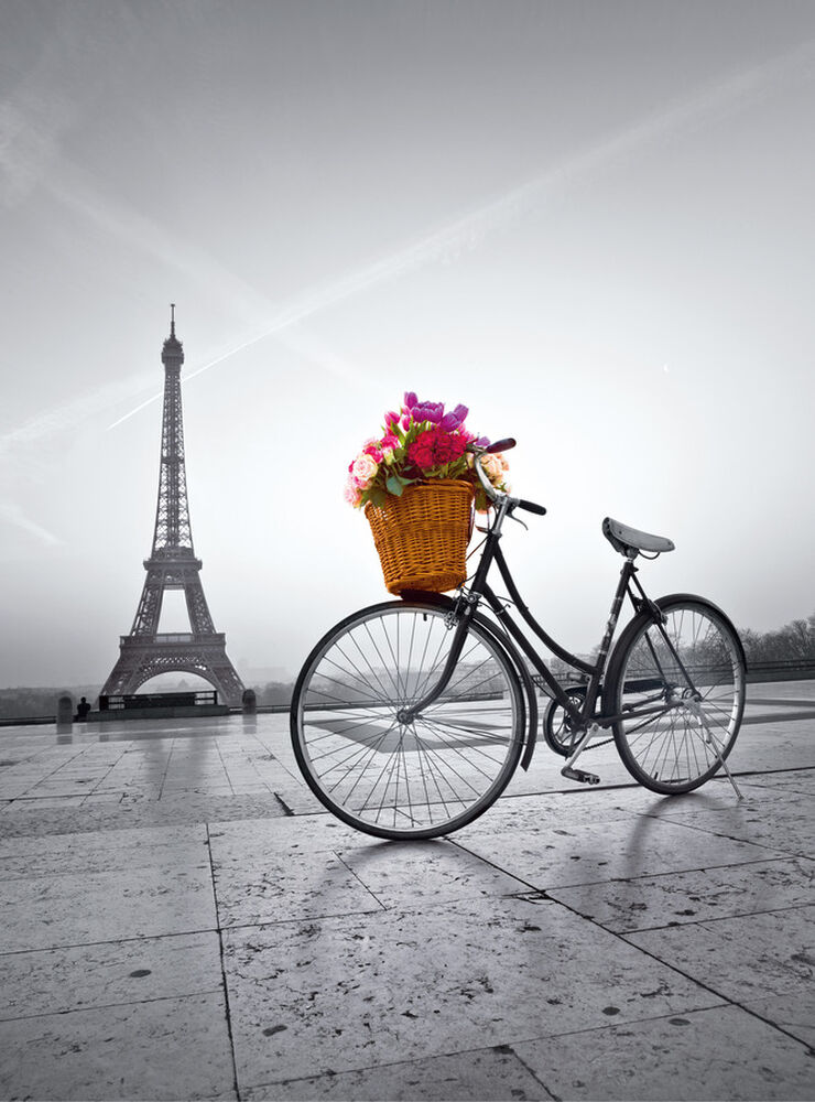 Puzle 500 peces Passeig romàntic a Paris