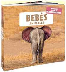 Bebés animales