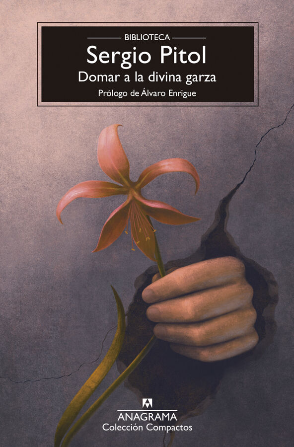 Domar a la divina garza