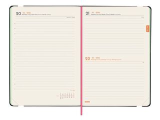 Agenda Finocam Joy FA5 día/pág cat 2026 Bloom