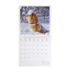 Calendario pared Legami 30X29 2024 Dogs