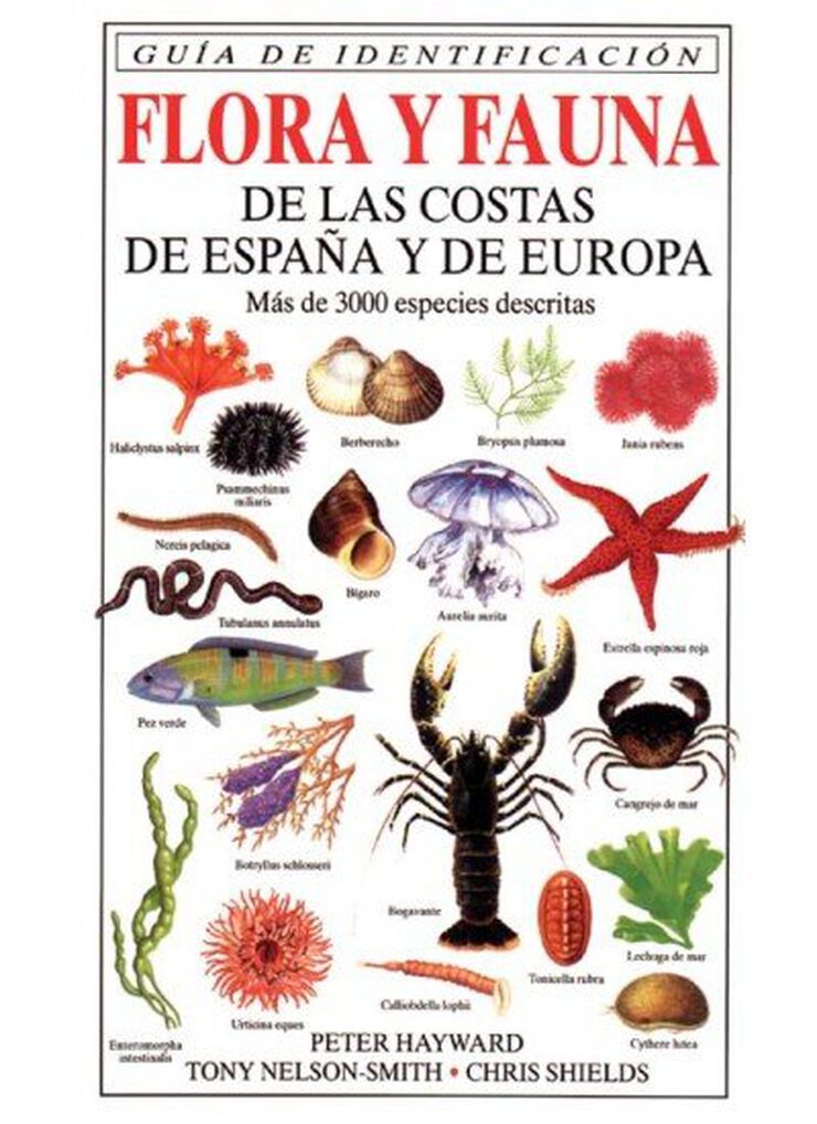 Flora y fauna de las costas de Espa&ntilde;a y