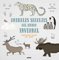 Animales Salvajes Mundo Invernal Animales Salvajes Mundo Invernal