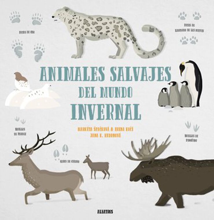 Animales Salvajes Mundo Invernal