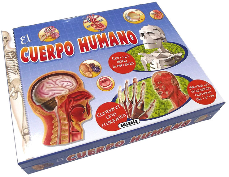 El cuerpo humano