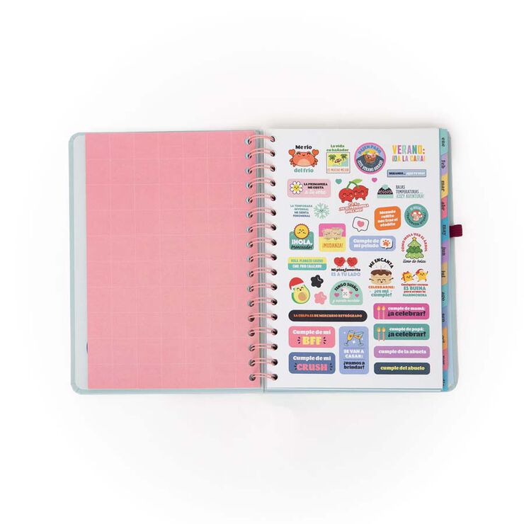 Agenda Mr.Wonderful setm/vista 2026 cast Objetivo semanal