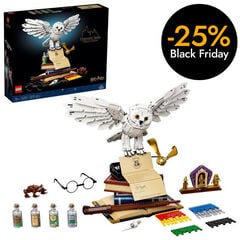 LEGO® Harry Potter Hogwarts 76391