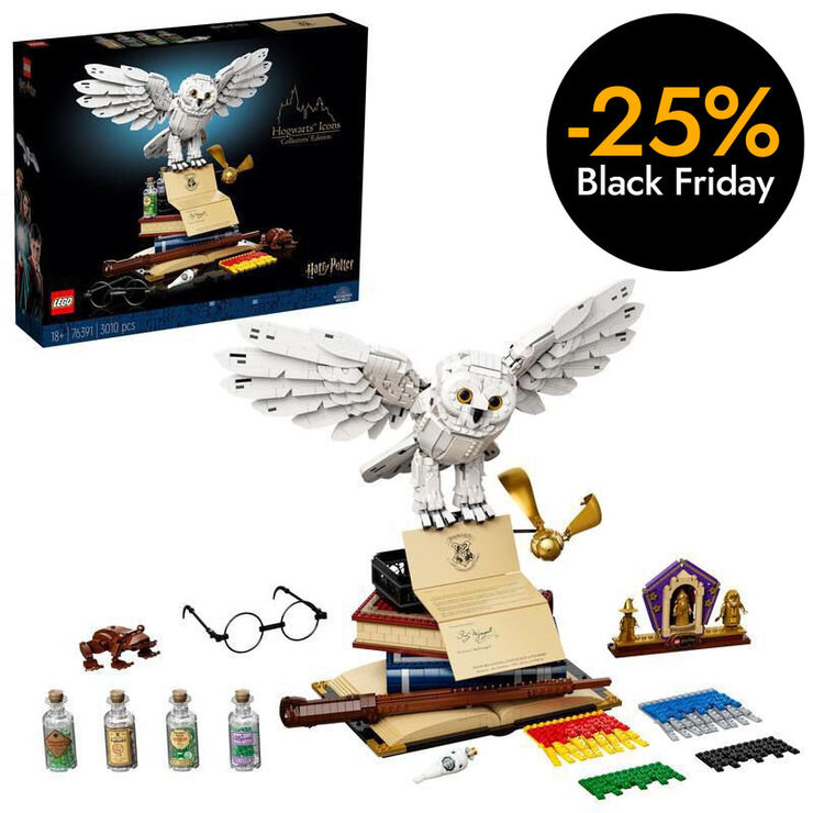 LEGO® Harry Potter Hogwarts 76391