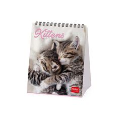 Calendario mesa Legami 12X14 2024 Kittens