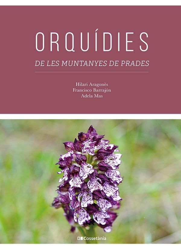 Orqu&iacute;dies de les Muntanyes de Prades