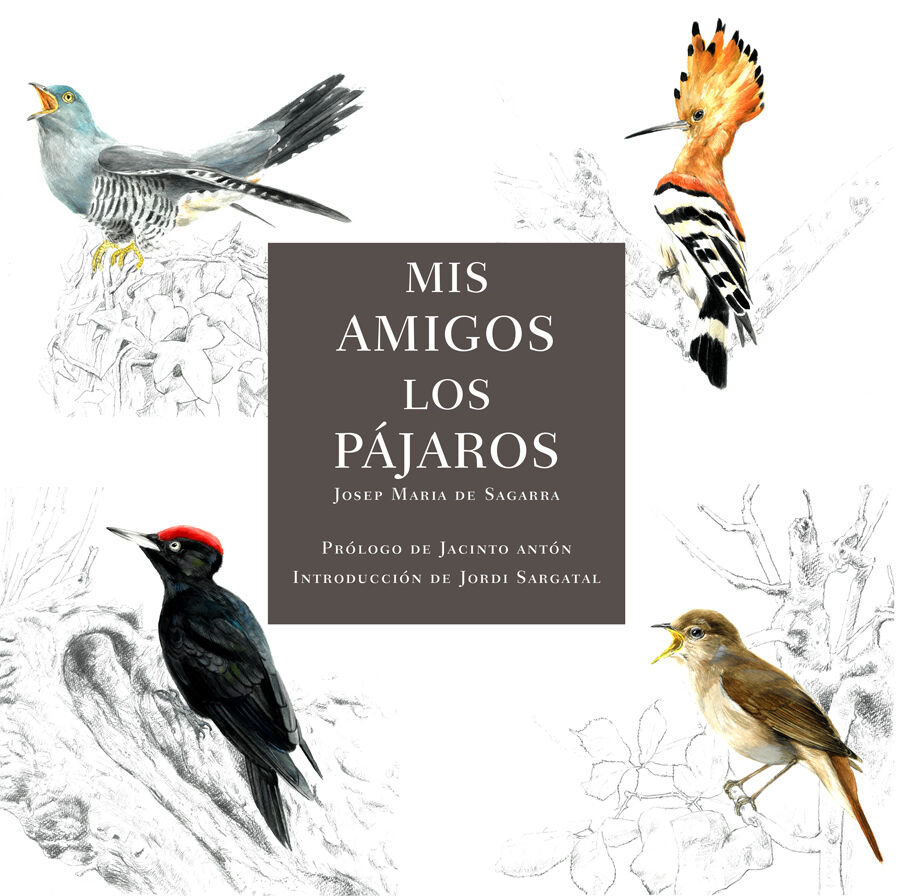 Mis amigos los p&aacute;jaros