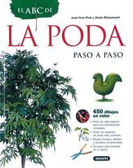 La poda paso a paso La poda paso a paso