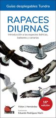 Rapaces diurnas Rapaces diurnas