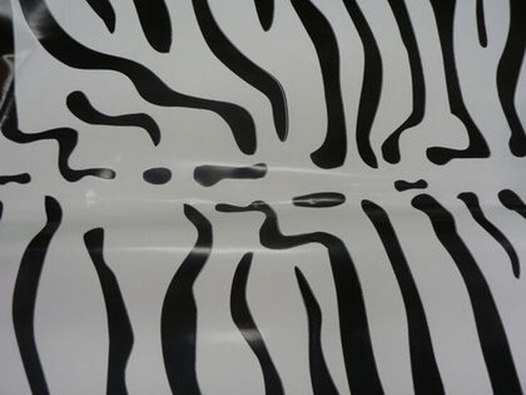 Bossa disfressa Coimbra Pack 55x70cm zebra 10u