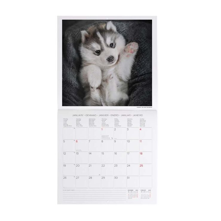 Calendario pared Legami 30x29cm 2026 Puppies