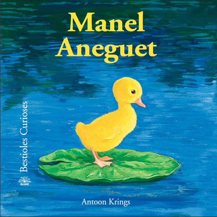 Manel Aneguet