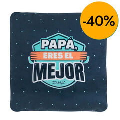 Manta con funda Mr. Wonderful Pap&aacute; eras el mejor