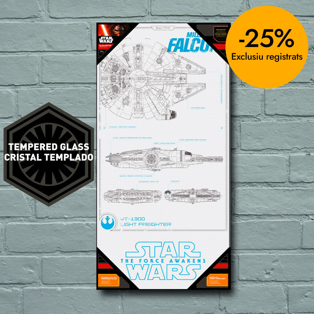Halc&oacute;n Milenario Planos Vidrio Sw 30X60