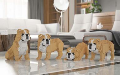 Jekca Bulldog Inglés