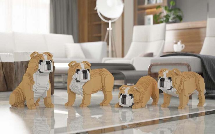 Jekca Bulldog Inglés