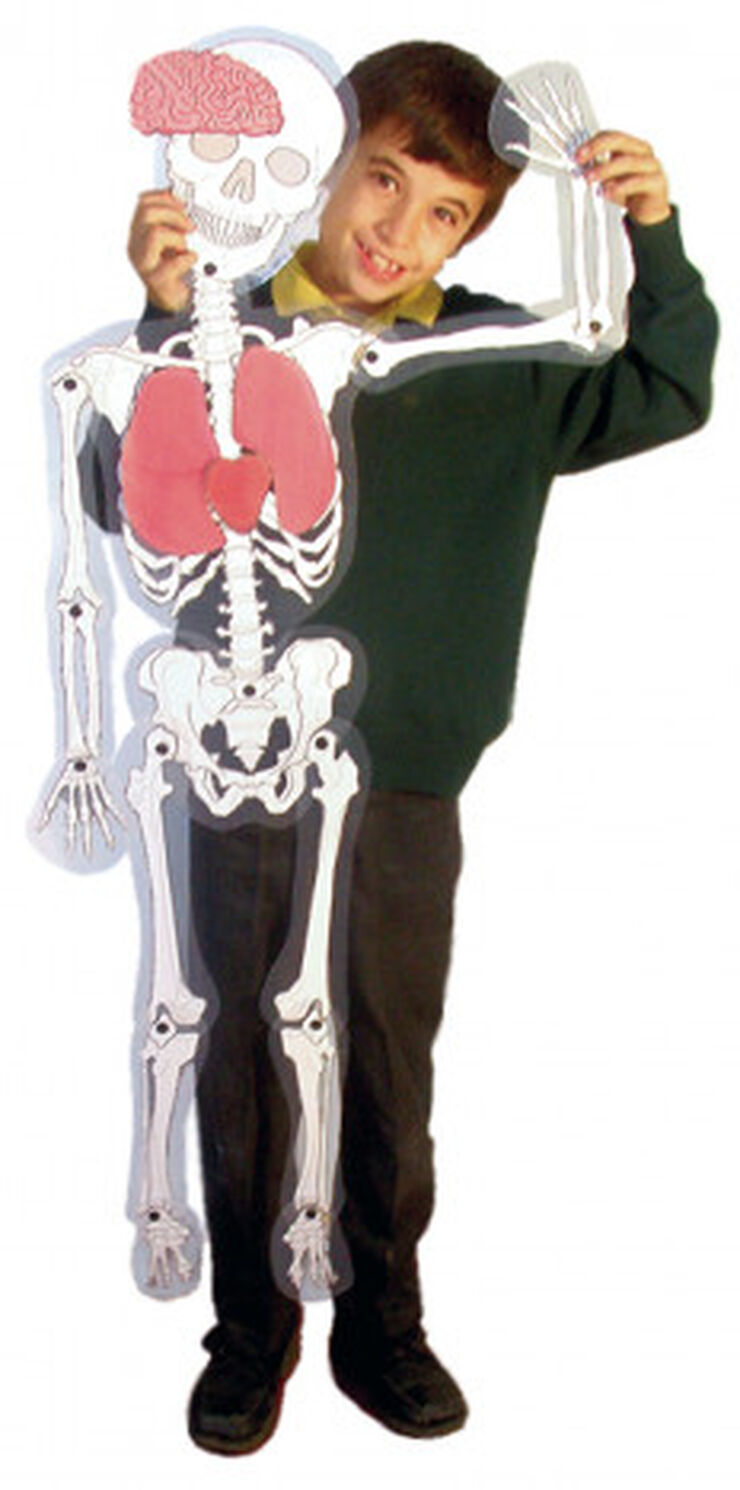 Juego didáctico Hombre esqueleto Henbea