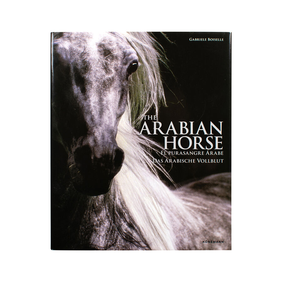 Arabian Horses