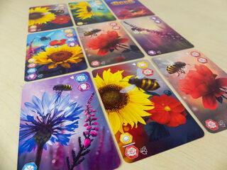 Bees - El Reino Secreto