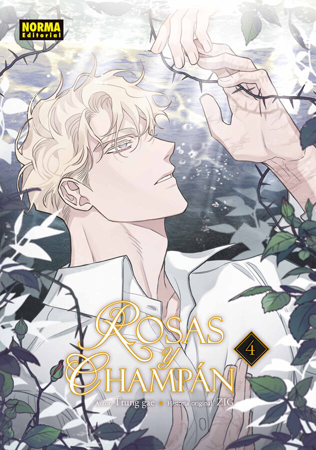 Rosas y champ&aacute;n 04