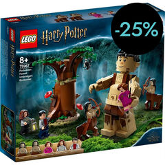 LEGO® Harry Potter Bosc Prohibit 75967
