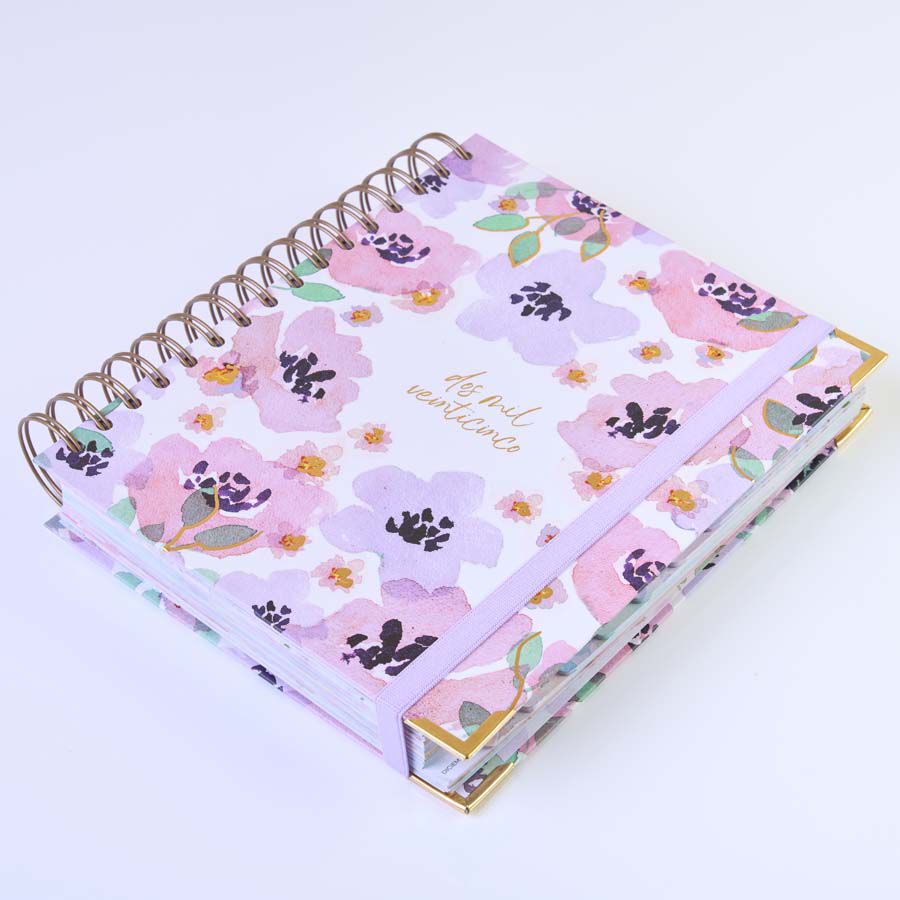 Agenda Takenote 17x21 sem/vista mult 2025 Clara